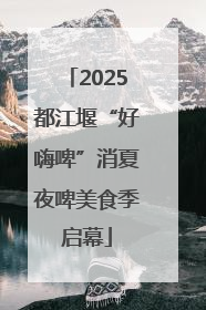 2025都江堰“好嗨啤”消夏夜啤美食季启幕